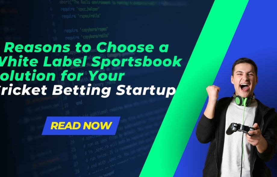 white label sportsbook solution