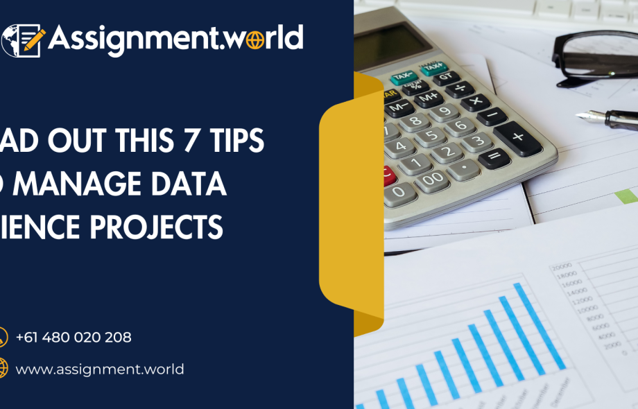 online data science assignment help