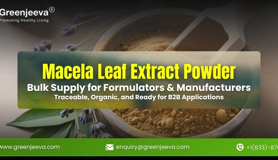 Macela Leaf Extract Powder in bulk