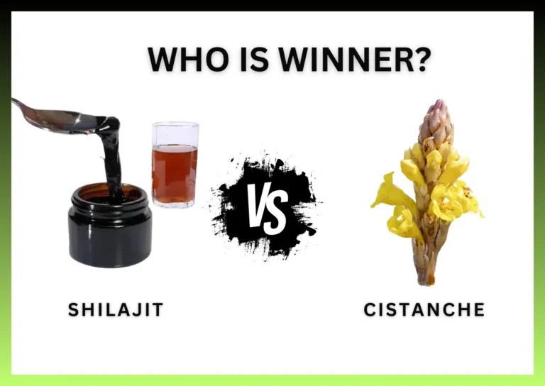 Cistanche vs Shilajit